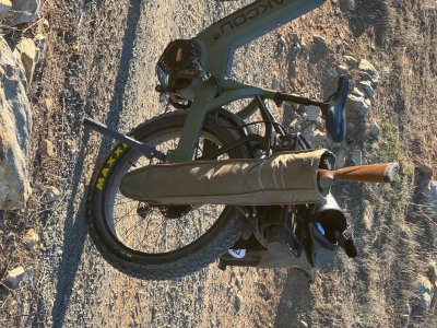 IMG_7882.jpeg IMG_7882.jpeg