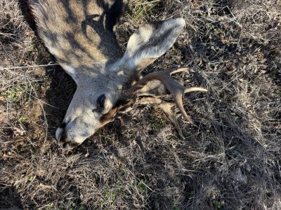 IMG_7884.jpeg IMG_7884.jpeg