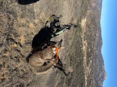 IMG_7917.jpeg IMG_7917.jpeg