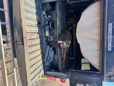 IMG_7918.jpeg IMG_7918.jpeg