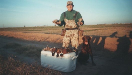 IV roosters & Doves 11-1999.jpg