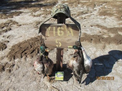 IMG_4824.JPG IMG_4824.JPG