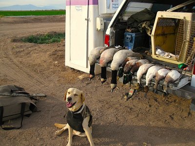 wister 12-15-10 009.JPG wister 12-15-10 009.JPG