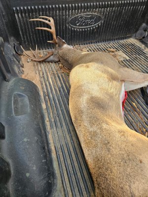 IMG_20251113_175259 (1).jpg