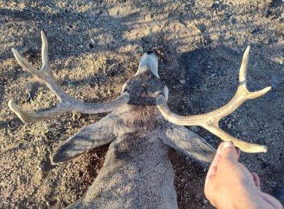 Screenshot_20251114-133002.jpg Screenshot_20251114-133002.jpg