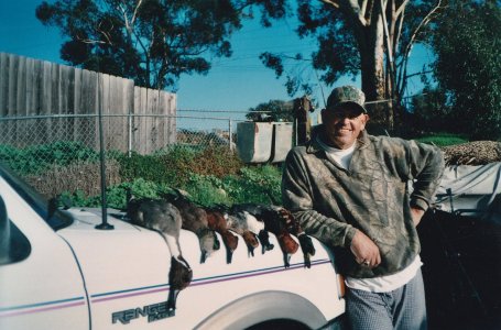 wister 7 drakes.jpg wister 7 drakes.jpg