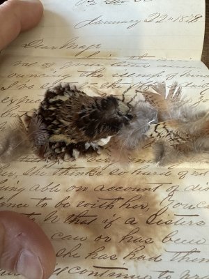 IMG_9618.jpeg IMG_9618.jpeg