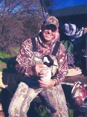 hooded merganzer SLR.jpg