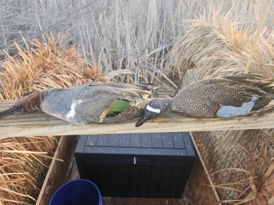 20251129_065731.jpg 20251129_065731.jpg