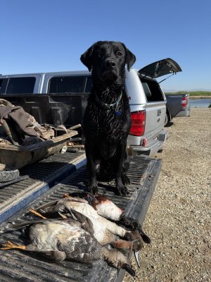 IMG_0479.jpeg IMG_0479.jpeg