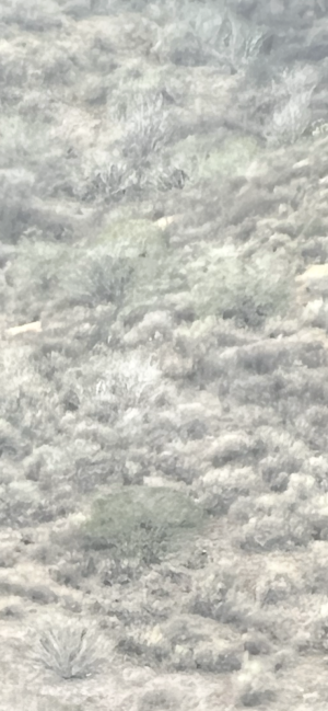 IMG_1861.png IMG_1861.png