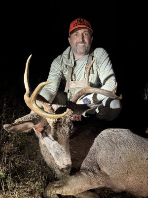 IMG_8019.jpeg IMG_8019.jpeg