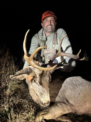 IMG_8023.jpeg IMG_8023.jpeg