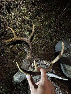 IMG_8028.jpeg IMG_8028.jpeg