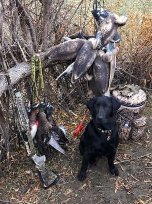 henshaw coley 1-22.JPG