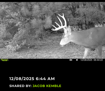 big buck 12-6-25.PNG big buck 12-6-25.PNG