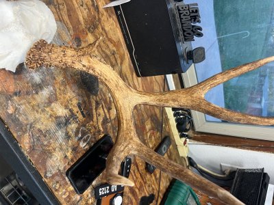 IMG_1299.jpeg IMG_1299.jpeg