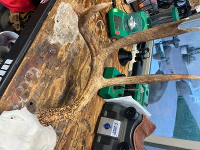 IMG_1298.jpeg IMG_1298.jpeg