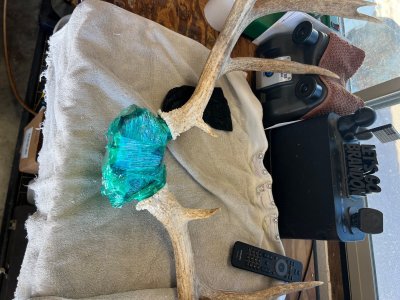 IMG_1279.jpeg IMG_1279.jpeg