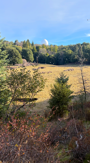 IMG_1674.PNG IMG_1674.PNG