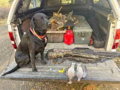 bandtail opener 2025.jpg bandtail opener 2025.jpg