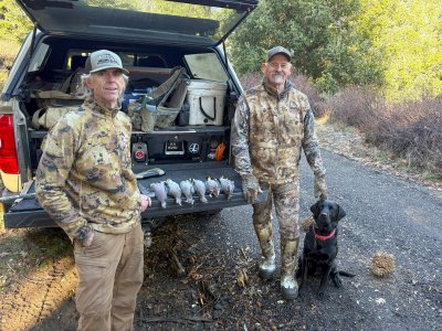 bandtails Matt 12-27-25.jpg bandtails Matt 12-27-25.jpg