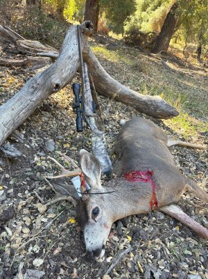 mcc buck 10-28-25.jpg