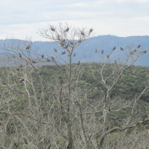 IMG_0582.JPG IMG_0582.JPG