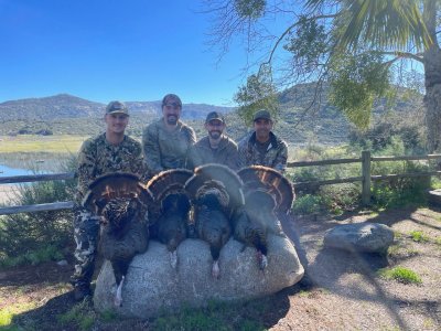 sutherland 4-3-24.JPG