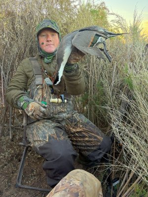 wister bull 2-7-26.jpg