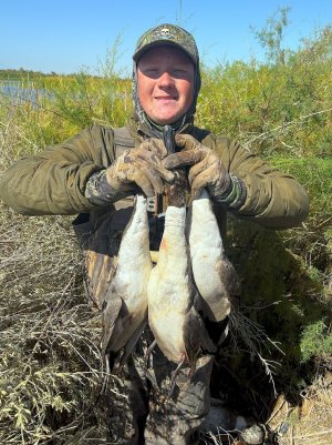 wister 3 bulls 2-7-26.jpg