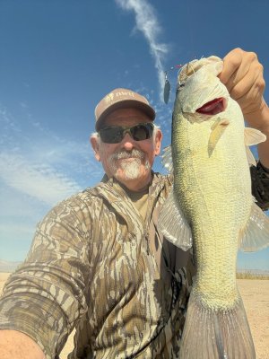 wister bass 2-6-26.jpg