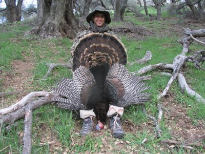 IMG_0707.JPG IMG_0707.JPG