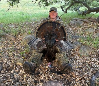 otto special 4-2-26.jpg