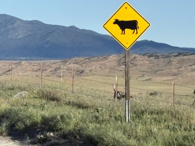 drive by gob MCC.jpg