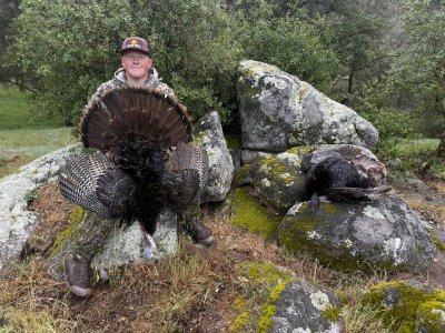 mariposa Otto longs.jpg mariposa Otto longs.jpg