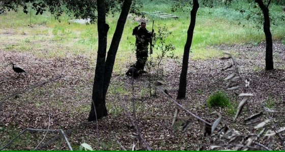 IMG_2904(2) - frame at 2m39s.jpg