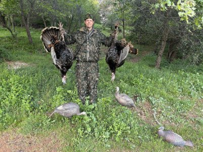 turkey double 4-4-26.jpg