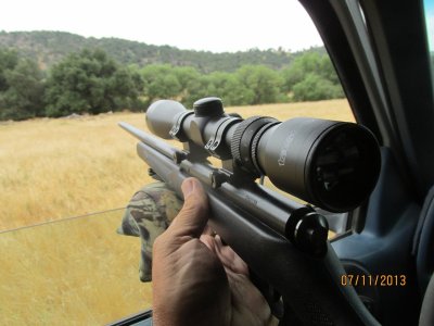 rabbit hunt 7-11-13 019.JPG