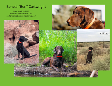 Benelli “Ben” Cartwright-2.png