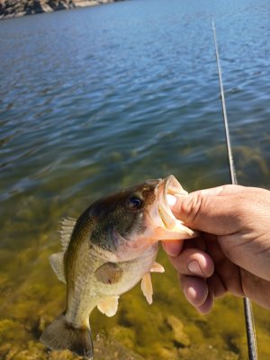 IMG_20260612_100753268.jpg