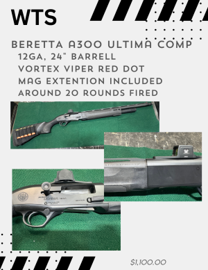 Beretta A300-2.PNG
