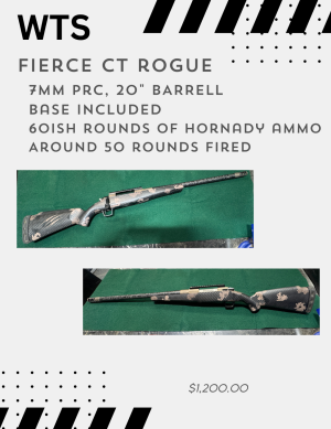 Fierce CT Rogue.PNG
