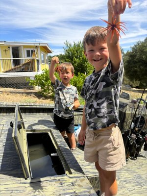 mellow yellow urchins 7-11-26.jpg