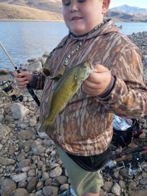 IMG_20260719_080337996.jpg