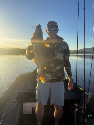 henshaw catfish 7-5-26.jpg