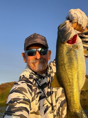 skinner 4-14-7-25-26.jpg