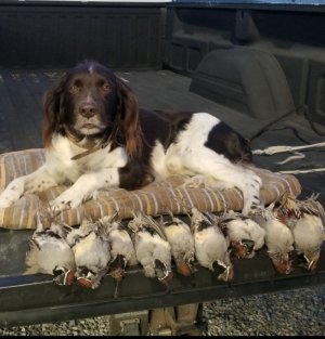 Screenshot_20260726_191516_Gallery.jpg Screenshot_20260726_191516_Gallery.jpg