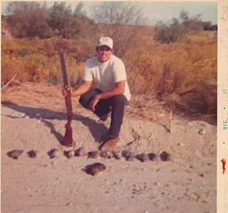 1st gambel quail 1972.jpg