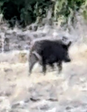 Screenshot_20260811-203909~2.jpg